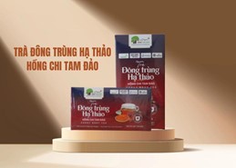 Trà Đông Trùng Hạ Thảo Hồng Chi Tam Đảo Cordy Body Tea