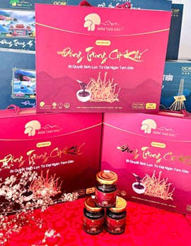 Cao tinh chất Đông trùng cốt khí